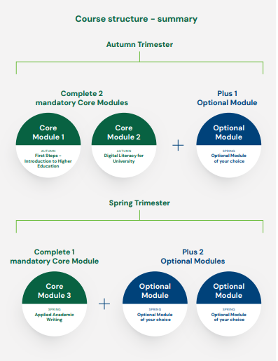 Image of the UCD AHSSL Course Structure